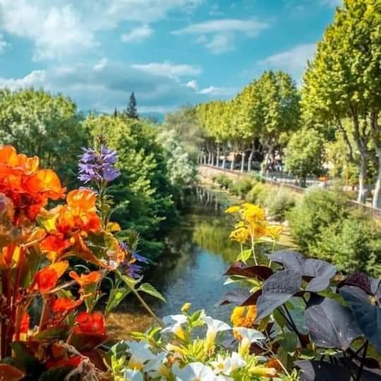 Villa Ange Azur 2 Villeneuve-Loubet Bagian luar foto