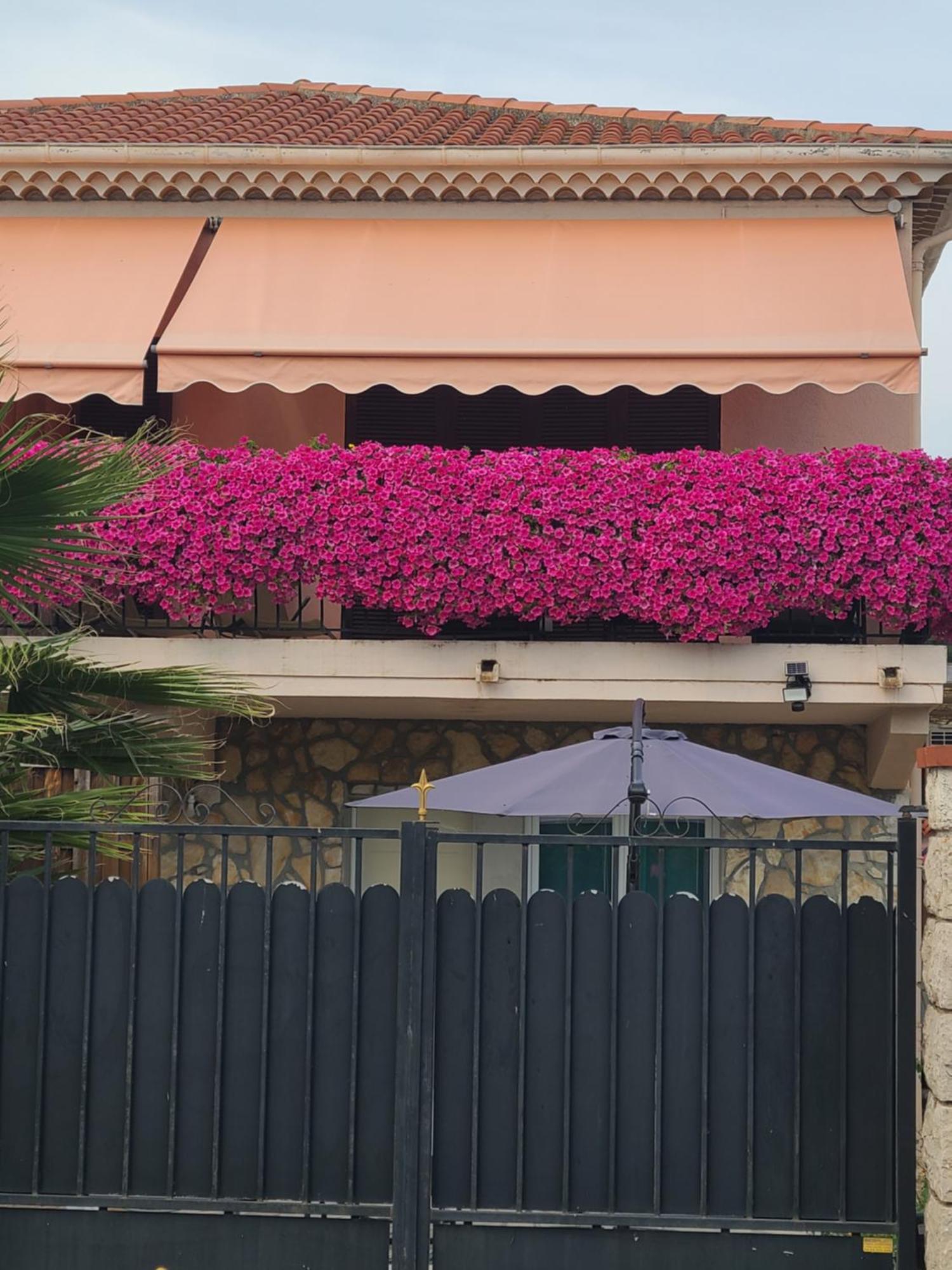 Villa Ange Azur 2 Villeneuve-Loubet Bagian luar foto